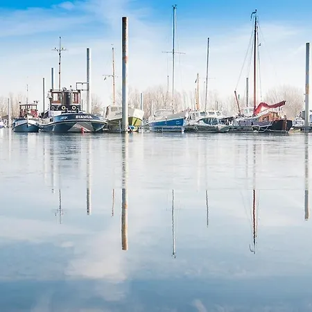 住宿加早餐酒店 Madame
